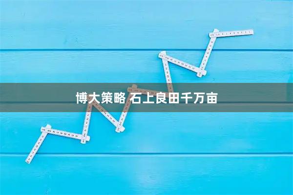博大策略 石上良田千万亩