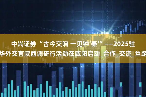 中兴证券 “古今交响 一见钟‘秦’”——2025驻华外交官陕西调研行活动在咸阳启动_合作_交流_丝路