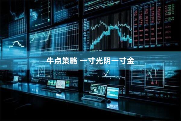 牛点策略 一寸光阴一寸金